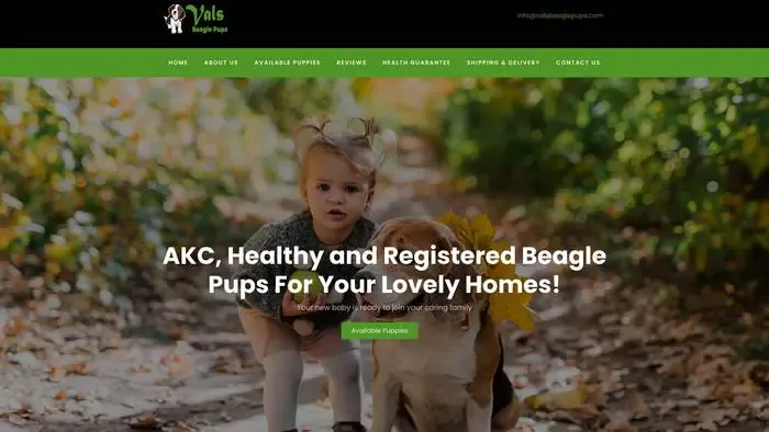 Screenshot of