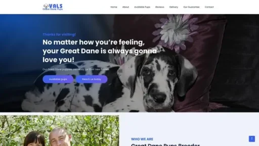 Screenshot of