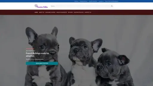 Screenshot of