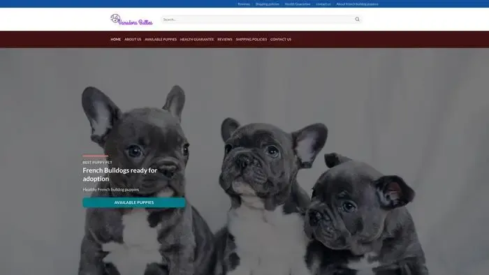 Screenshot of
