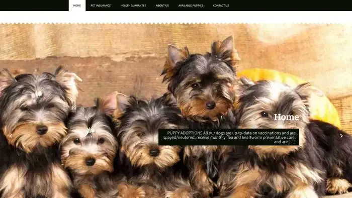 Screenshot of