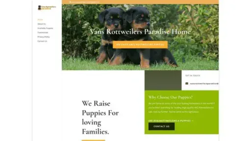 Screenshot of