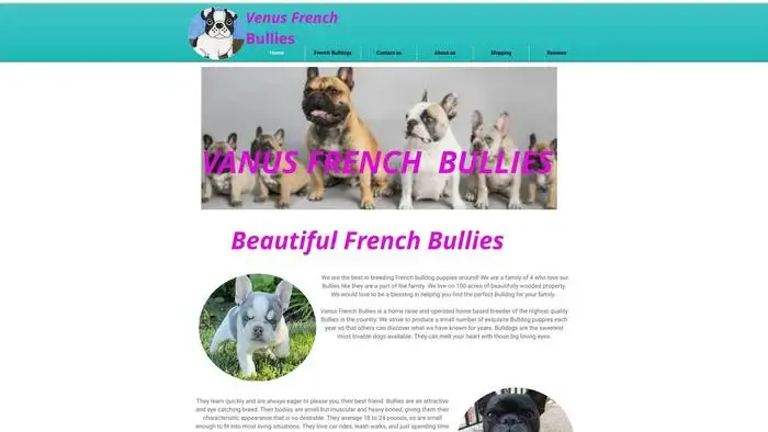 Screenshot of