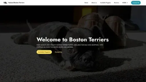 Screenshot of|
