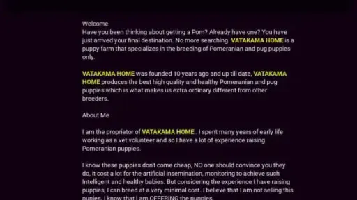 Screenshot of