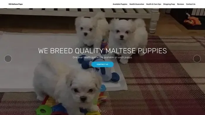 Screenshot of