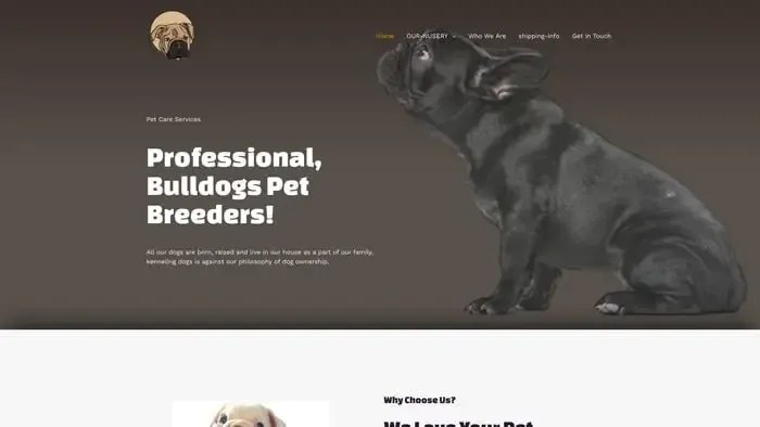 Screenshot of