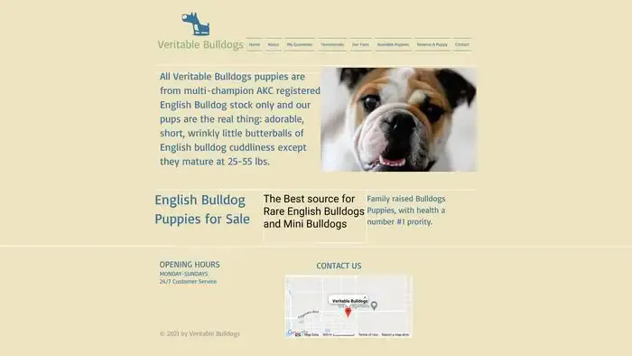 Screenshot of