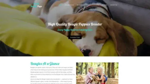 Screenshot of