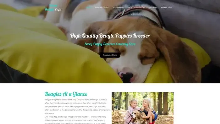 Screenshot of