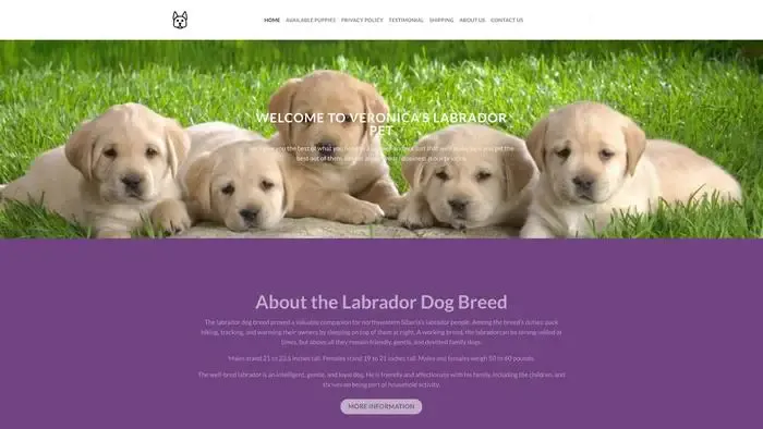 Screenshot of