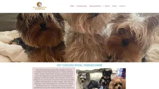 Screenshot of