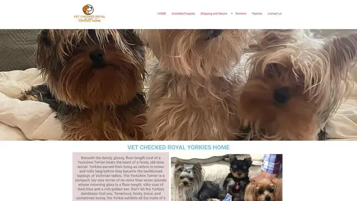 Screenshot of