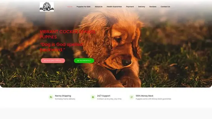 Screenshot of