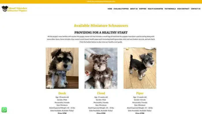 Screenshot of|
