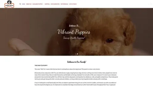 Screenshot of