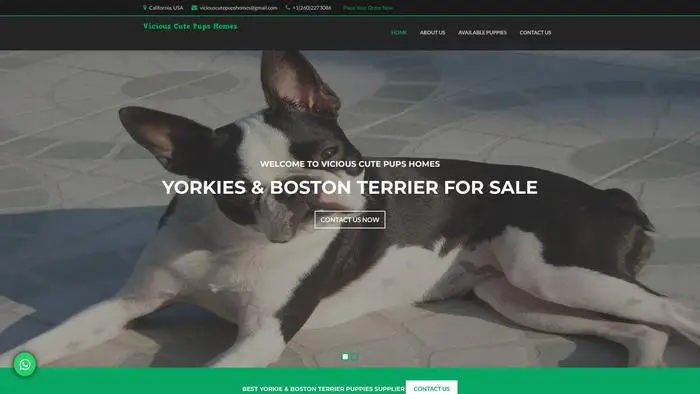 Screenshot of