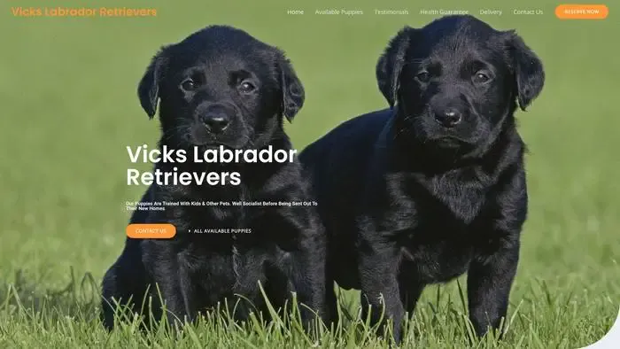 Screenshot of