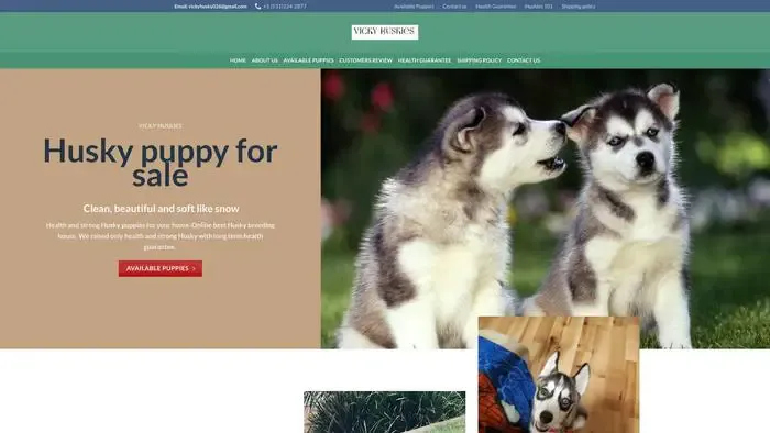 Screenshot of