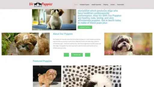 Screenshot of