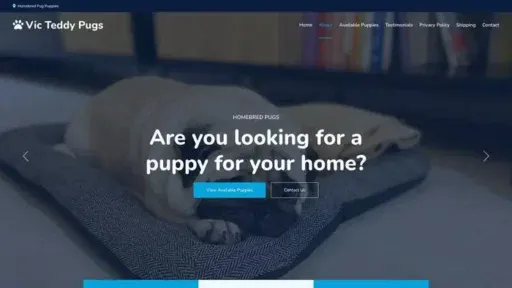 Screenshot of