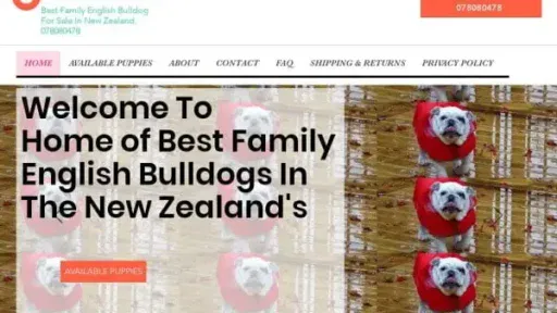 Screenshot of