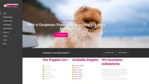 Screenshot of