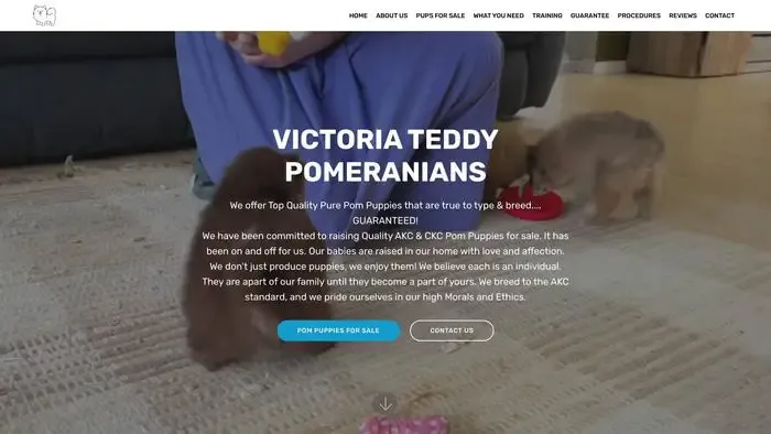 Screenshot of