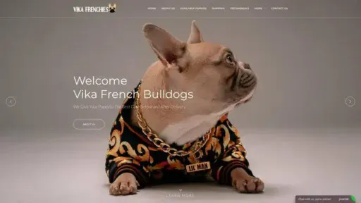 Screenshot of