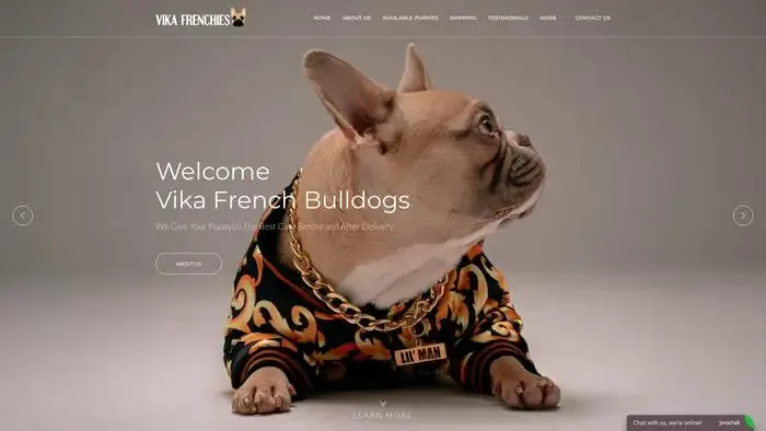 Screenshot of