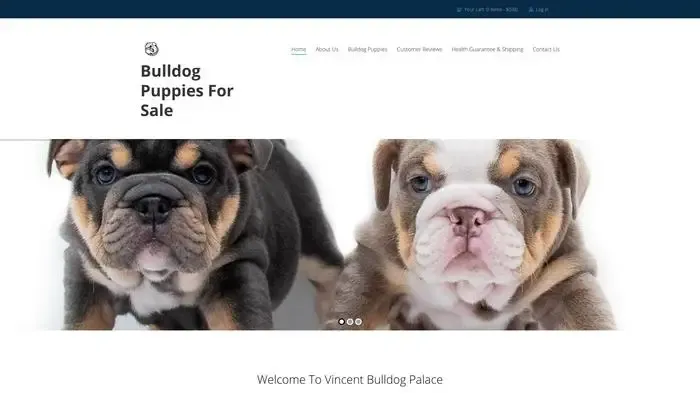 Screenshot of