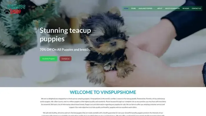 Screenshot of