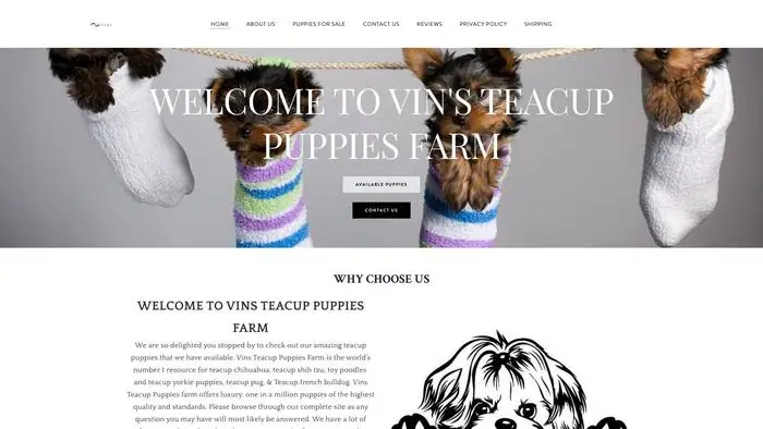 Screenshot of