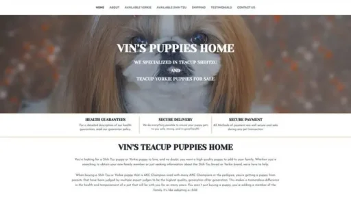 Screenshot of|