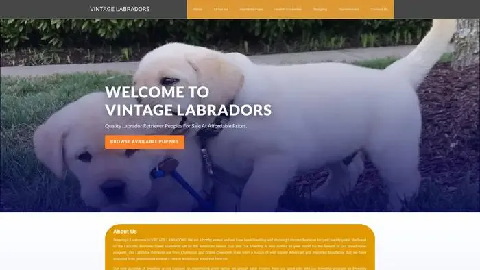 Screenshot of