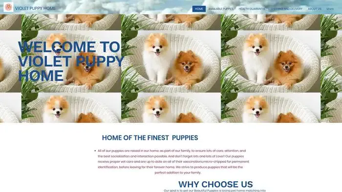 Screenshot of