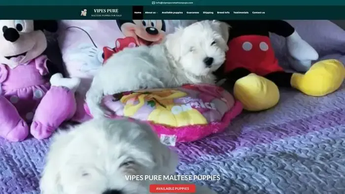 Screenshot of