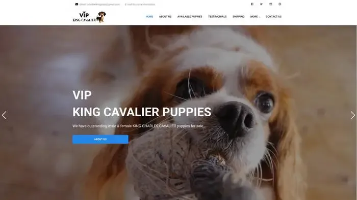 Screenshot of
