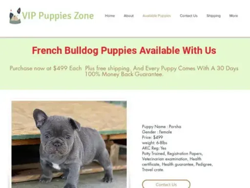 Screenshot of