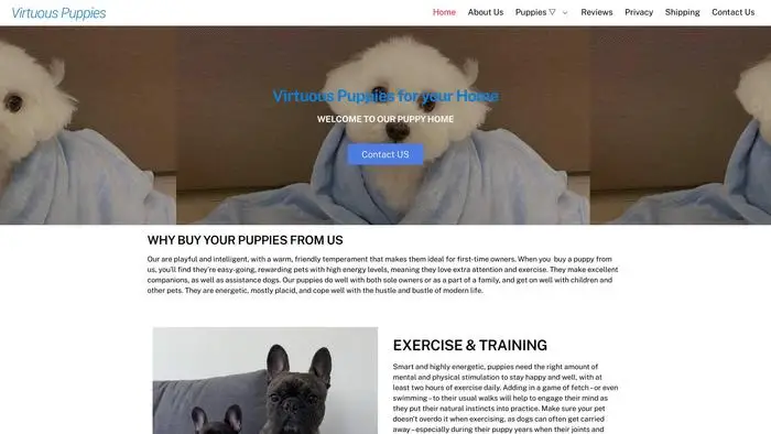 Screenshot of