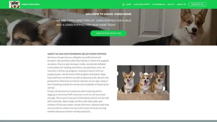 Screenshot of