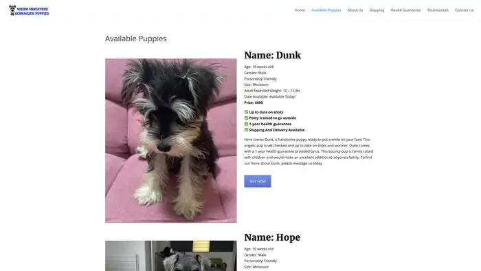 Screenshot of