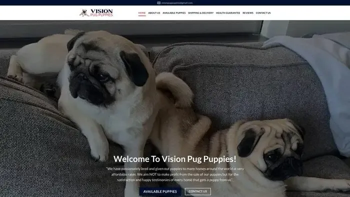 Screenshot of