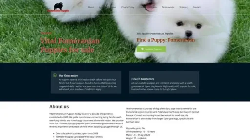 Screenshot of
