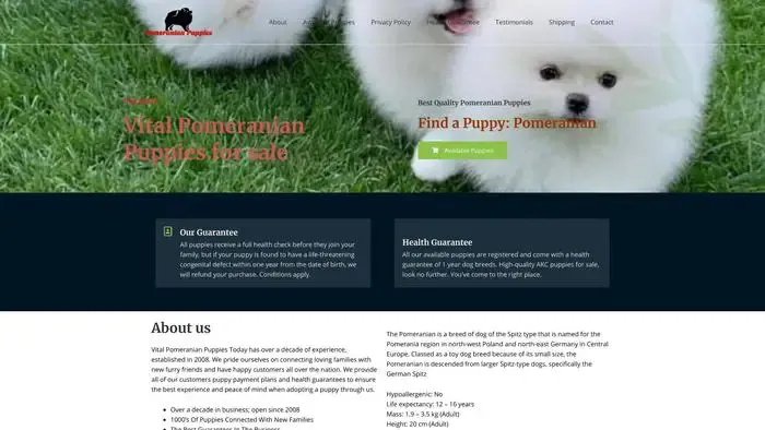 Screenshot of