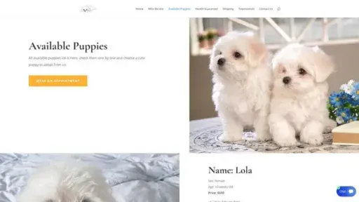 Screenshot of