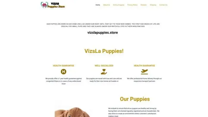 Screenshot of