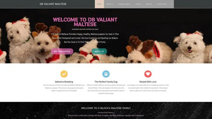 Screenshot of