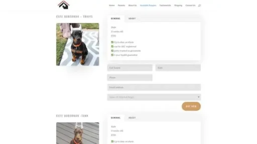 Screenshot of