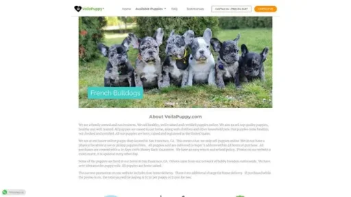 Screenshot of